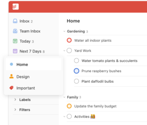 Todoist app