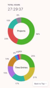 Toggl Project/Client breakdown